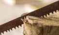 How mismanagement of B.C. forests is hurting Canada’s economy How mismanagement of B.C. forests is hurting Canada’s economy