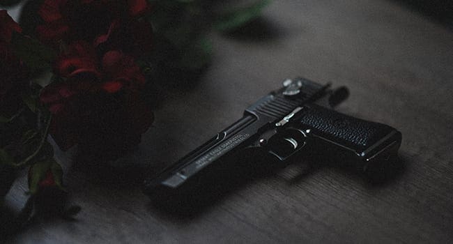 gun firearm weapon The high cost of ineffective anti-terror measures
