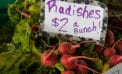 radishes produce groceries Will a pandemic and an oil price war bring cheaper food?