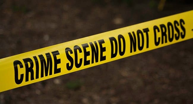 crime police Half measures won’t solve the problem with police