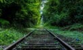 rail train transport environment Researchers pinpoint where wildlife most likely to be killed by trains