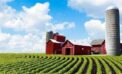 farm farming farmer Farming is losing to misguided urban politics