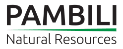 Pambili receives first drill results from the Happy Valley Mine